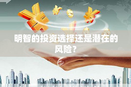 徐闻明智的投资选择还是潜在的风险？