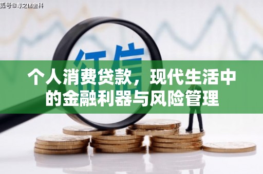 徐闻个人消费贷款，现代生活中的金融利器与风险管理