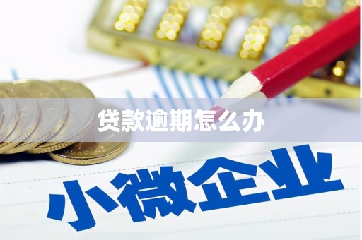 徐闻贷款逾期怎么办