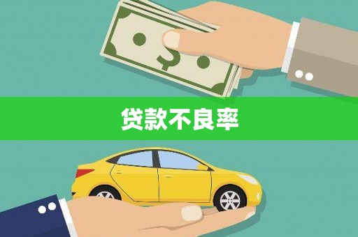 徐闻贷款不良率