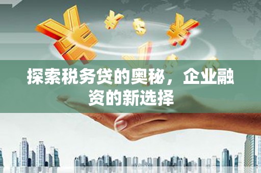 徐闻探索税务贷的奥秘，企业融资的新选择