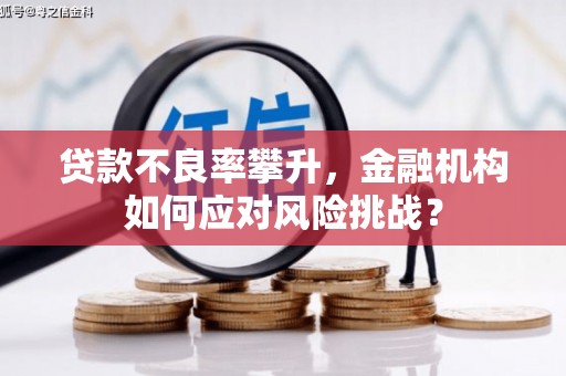徐闻贷款不良率攀升，金融机构如何应对风险挑战？