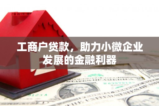 徐闻工商户贷款，助力小微企业发展的金融利器