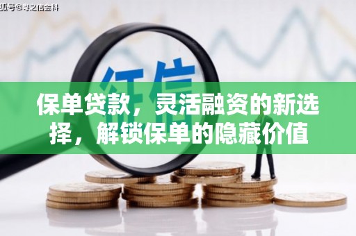 徐闻保单贷款，灵活融资的新选择，解锁保单的隐藏价值