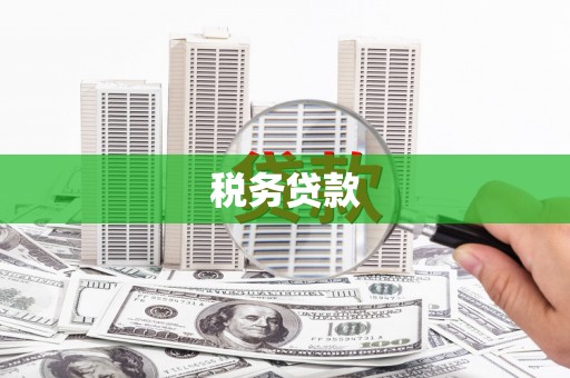 徐闻税务贷款