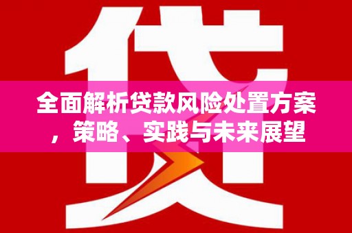 徐闻全面解析贷款风险处置方案，策略、实践与未来展望