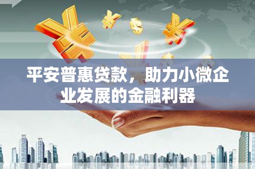 徐闻平安普惠贷款，助力小微企业发展的金融利器