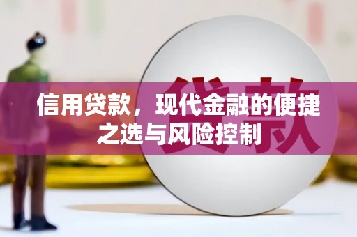 徐闻信用贷款，现代金融的便捷之选与风险控制