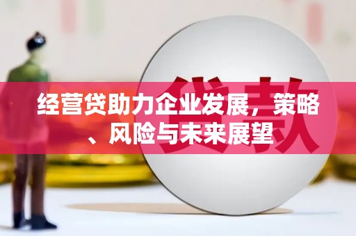 徐闻经营贷助力企业发展，策略、风险与未来展望