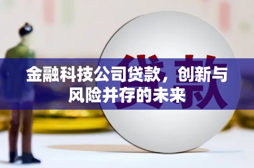 徐闻金融科技公司贷款，创新与风险并存的未来