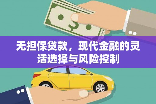 徐闻无担保贷款，现代金融的灵活选择与风险控制
