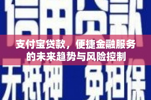 徐闻支付宝贷款，便捷金融服务的未来趋势与风险控制