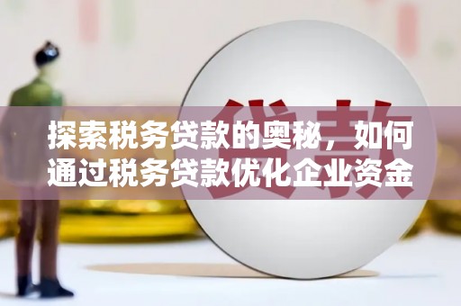徐闻探索税务贷款的奥秘，如何通过税务贷款优化企业资金流