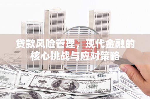 徐闻贷款风险管理，现代金融的核心挑战与应对策略