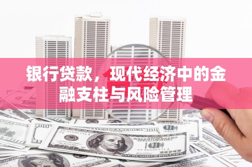 徐闻银行贷款，现代经济中的金融支柱与风险管理