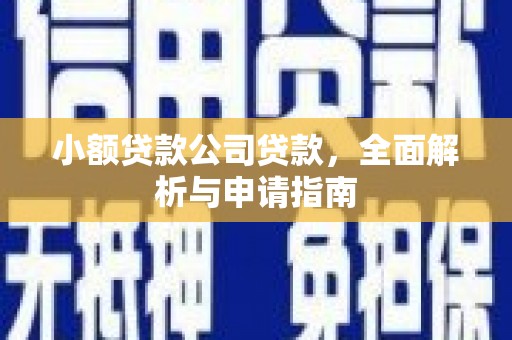 徐闻小额贷款公司贷款，全面解析与申请指南