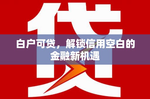 徐闻白户可贷，解锁信用空白的金融新机遇