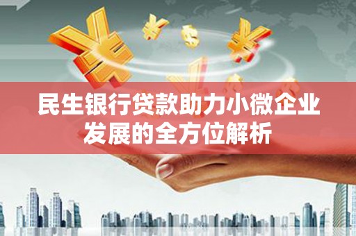 徐闻民生银行贷款助力小微企业发展的全方位解析