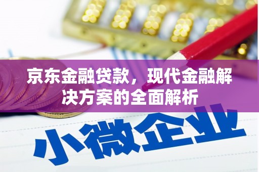 徐闻京东金融贷款，现代金融解决方案的全面解析