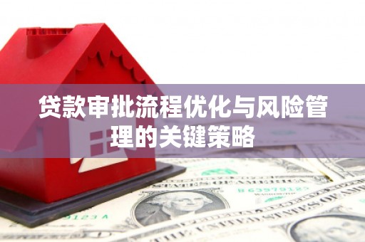 徐闻贷款审批流程优化与风险管理的关键策略