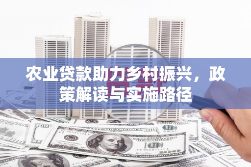 徐闻农业贷款助力乡村振兴，政策解读与实施路径