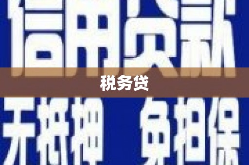 徐闻税务贷