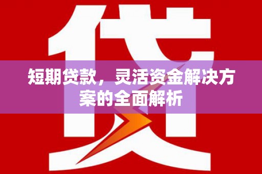 徐闻短期贷款，灵活资金解决方案的全面解析