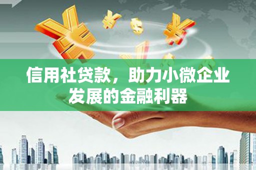 徐闻信用社贷款，助力小微企业发展的金融利器