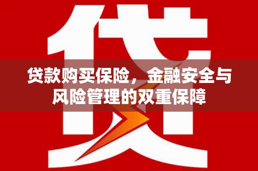 徐闻贷款购买保险，金融安全与风险管理的双重保障