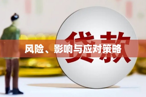 徐闻风险、影响与应对策略
