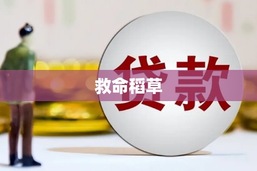 徐闻救命稻草