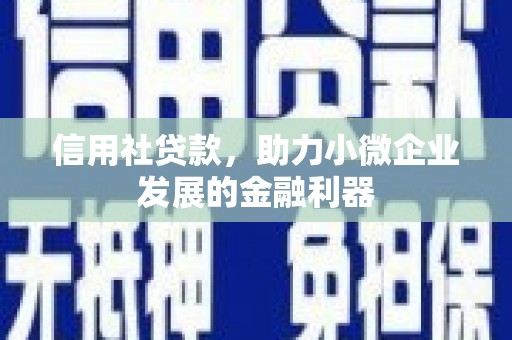徐闻信用社贷款，助力小微企业发展的金融利器