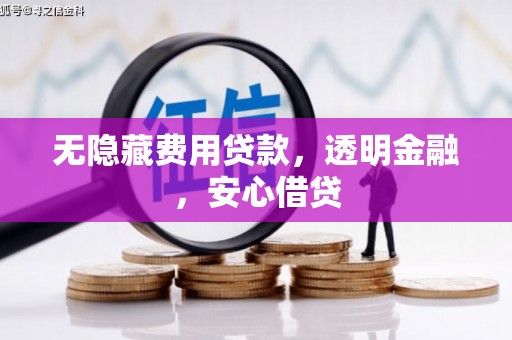 徐闻无隐藏费用贷款，透明金融，安心借贷