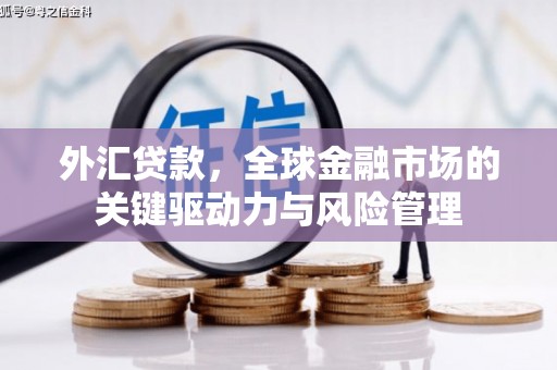 徐闻外汇贷款，全球金融市场的关键驱动力与风险管理