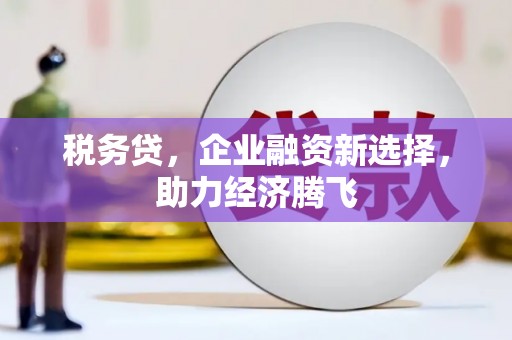 徐闻税务贷，企业融资新选择，助力经济腾飞