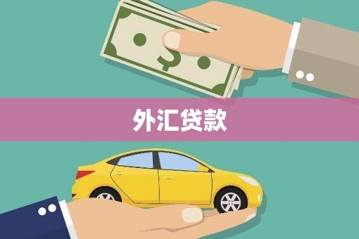 徐闻外汇贷款