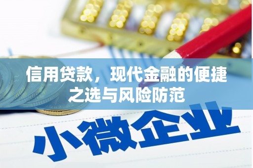 徐闻信用贷款，现代金融的便捷之选与风险防范