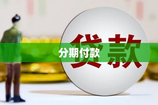 徐闻分期付款