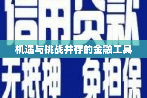 徐闻机遇与挑战并存的金融工具