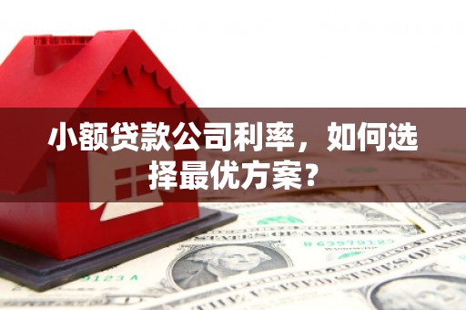 徐闻小额贷款公司利率，如何选择最优方案？