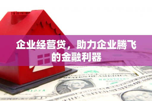 徐闻企业经营贷，助力企业腾飞的金融利器