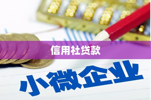 徐闻信用社贷款