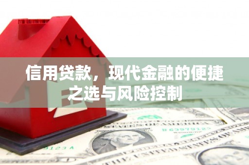 徐闻信用贷款，现代金融的便捷之选与风险控制