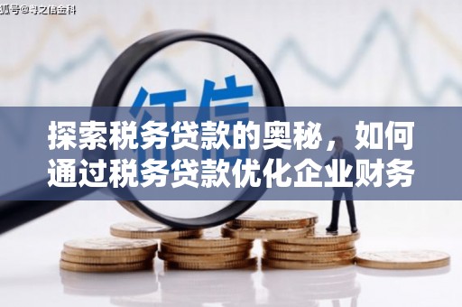 徐闻探索税务贷款的奥秘，如何通过税务贷款优化企业财务