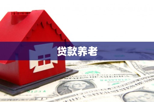 徐闻贷款养老