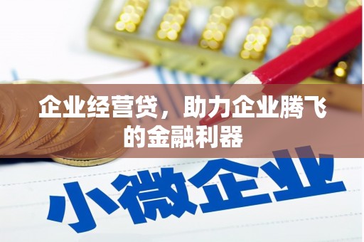 徐闻企业经营贷，助力企业腾飞的金融利器