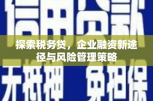 徐闻探索税务贷，企业融资新途径与风险管理策略