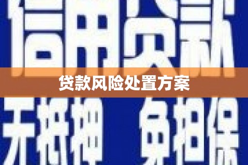 徐闻贷款风险处置方案