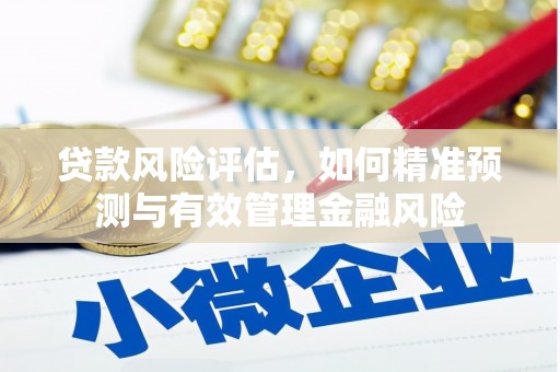 徐闻贷款风险评估，如何精准预测与有效管理金融风险