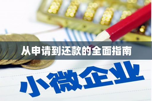徐闻从申请到还款的全面指南